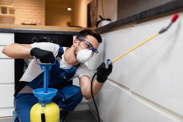 Best Local Pest Control Services  in Falling Waters, WV