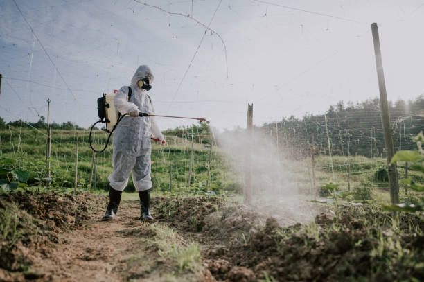 Best Pest Control Treatment  in Falling Waters, WV