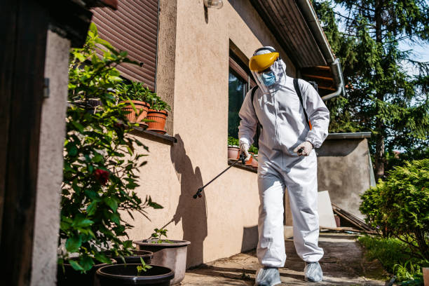 Best Pest Inspection Near Me  in Falling Waters, WV