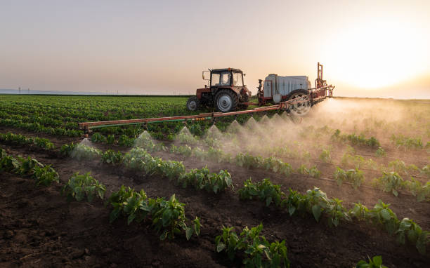 Best Commercial Pest Control Services  in Falling Waters, WV