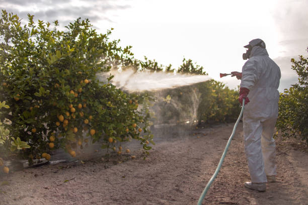 Best Best Pest Control Companies  in Falling Waters, WV