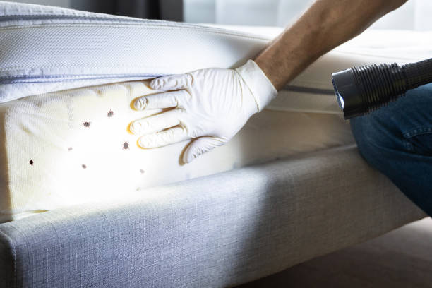 Pest Control Cost in Falling Waters, WV